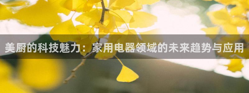 cq9电子技术