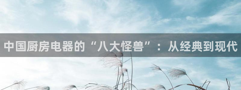 武圣电子cq9