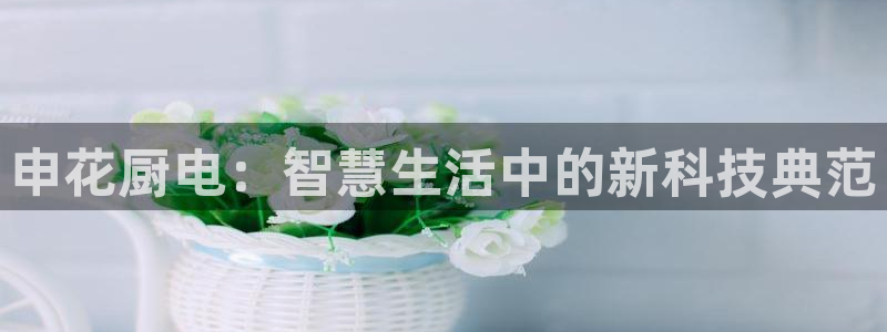 电子游戏传奇电子CQ9