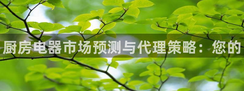 传奇电子cq9青龙出海