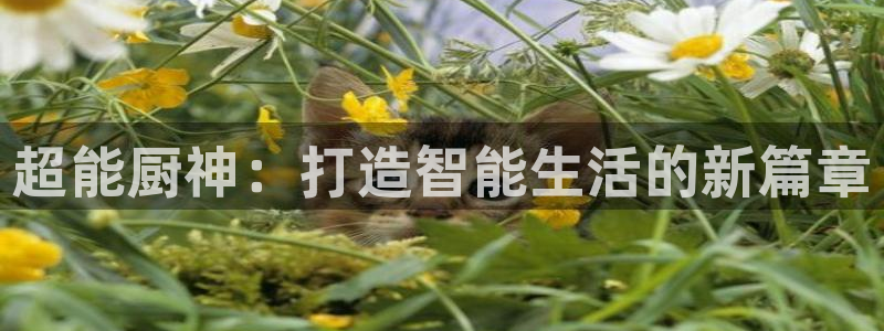 CQ9传奇电子厂商