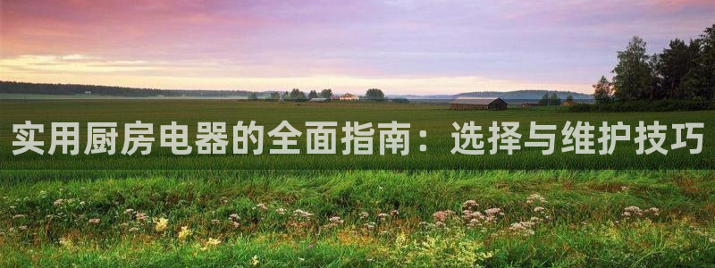 cq9平台电子