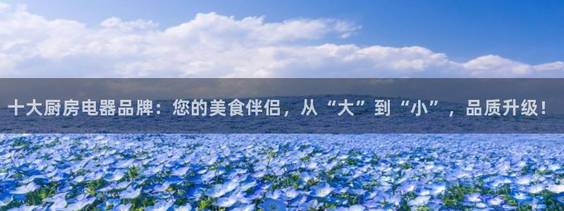 cq9电子下载