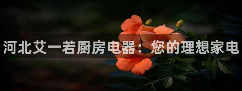 cq9电子怎样快速回本