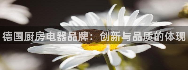 cq9电子熊猫