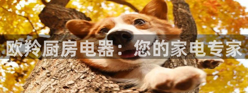 cq9电子在线下载