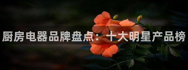 cq9电子游戏外挂