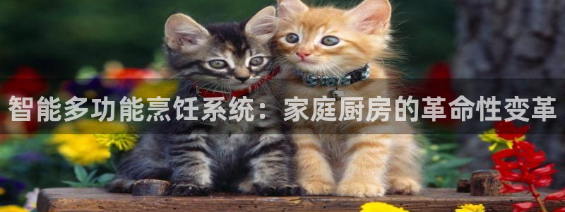 CQ9电子游戏官网