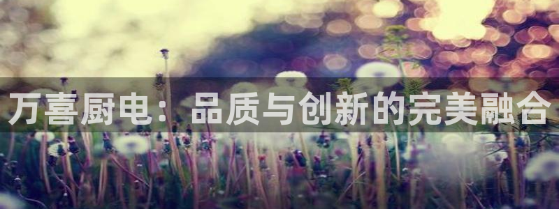 cq9电子游戏平台网站大全
