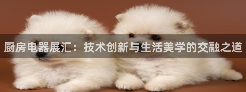 传奇cq9电子