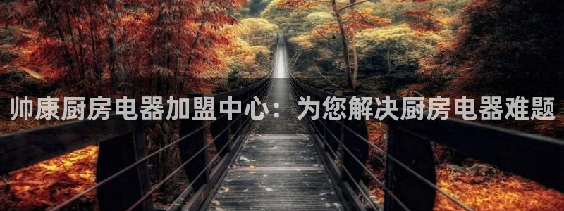 cq9电子官网平台