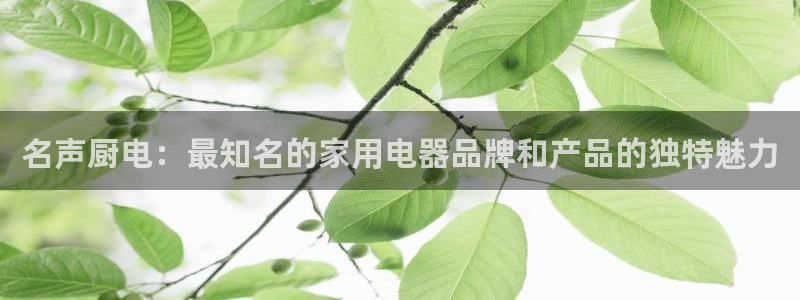 cq9电子游艺怎么玩