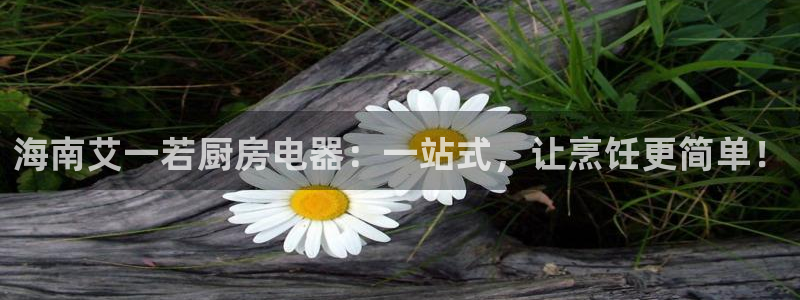 cq9电子金鸡报晓