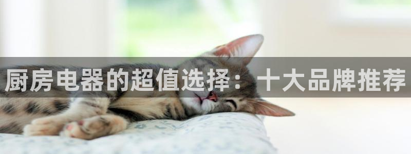 cq9电子游戏压分
