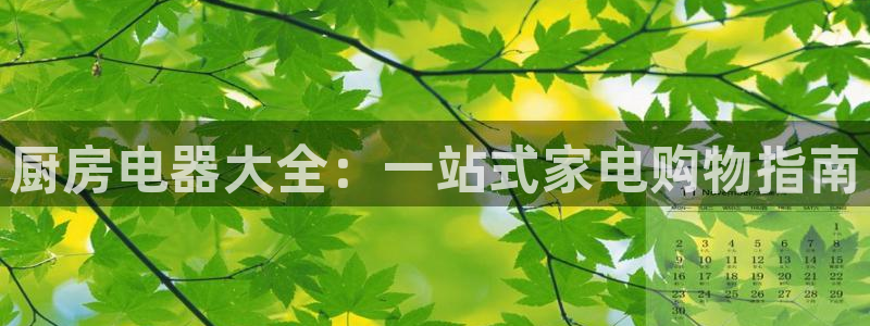 cq9电子那个好打点