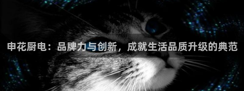 电子游戏cq9传奇电子