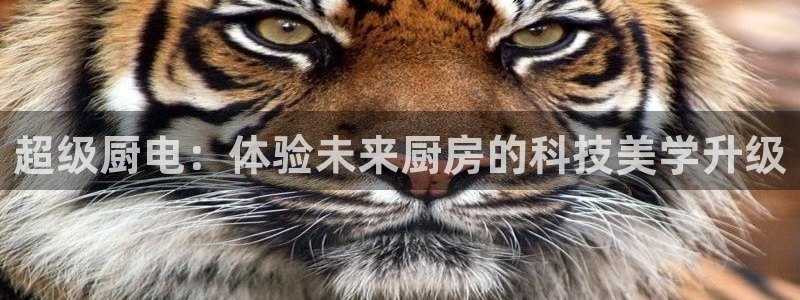 cq9电子平台秤厂家