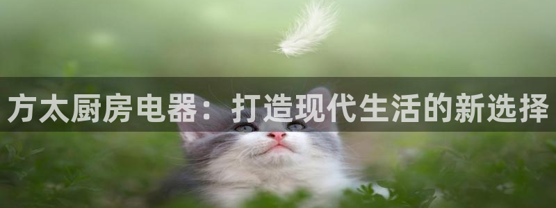cq9电子洪福齐天