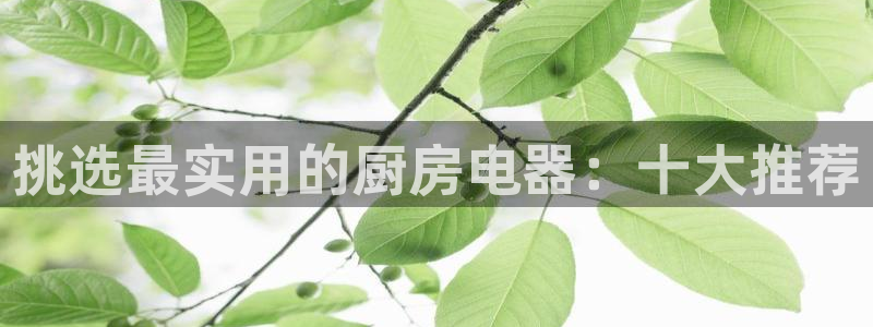 cq9电子龙舞