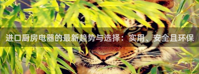 传奇电子cq9视频