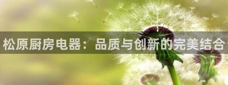 CQ9电子 网址