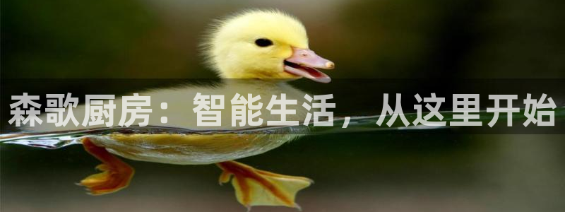 cq9电子大奖