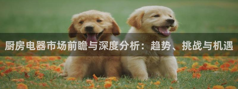 cq9传奇电子跳更高