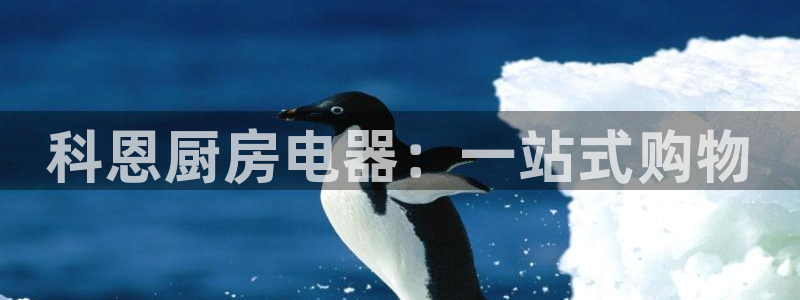 cq9电子反水
