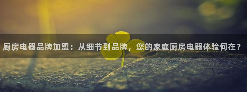 cq9电子财神棋牌