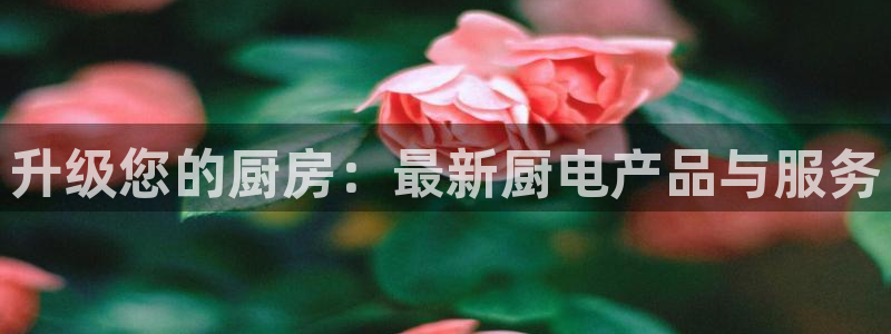cq9 电子游戏平台