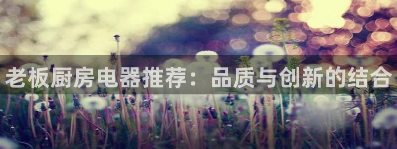cq9传奇电子免费试玩