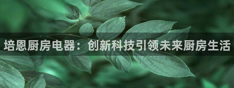 cq9传奇电子免费试玩