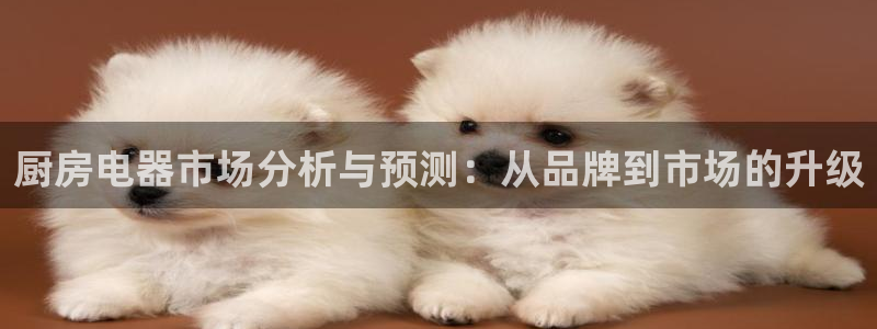 cq9电子哪个爆分