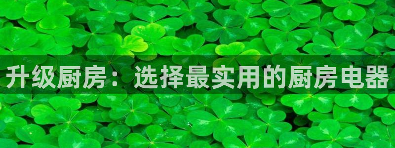 cq9电子全屏大奖