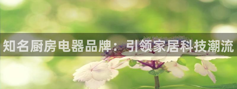 cq9电子派对