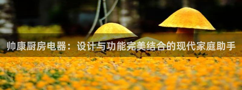cq9传奇电子网址链接