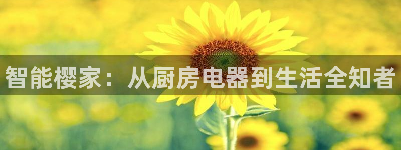 电子cq9是啥软件