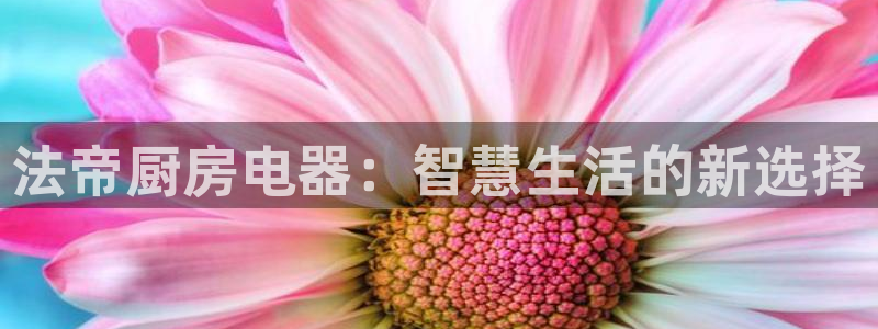 cq9电子雷神之锤