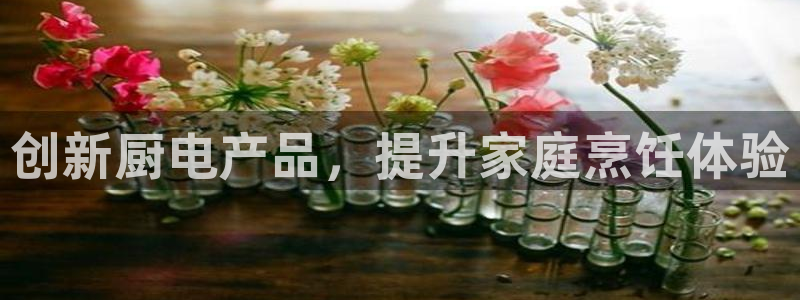 CQ9电子更多游戏