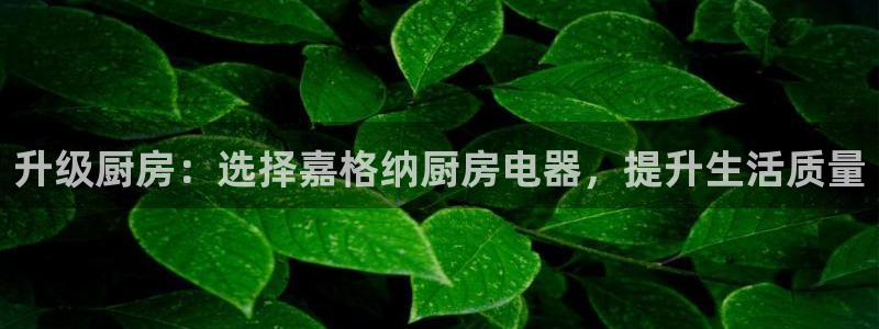 cq9武圣电子网站